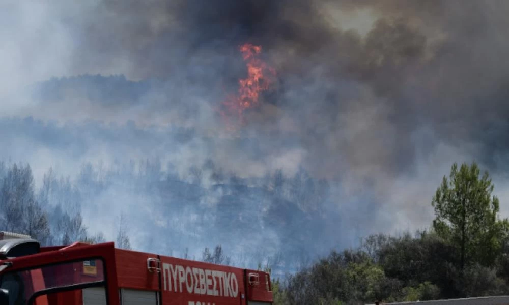 Φωτιά στην Ηλεία: Συνελήφθη ένα άτομο για εμπρησμό από αμέλεια